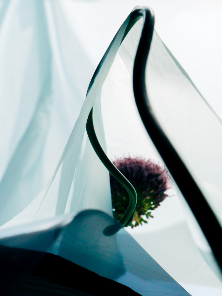 Timothée Lambrecq photography
