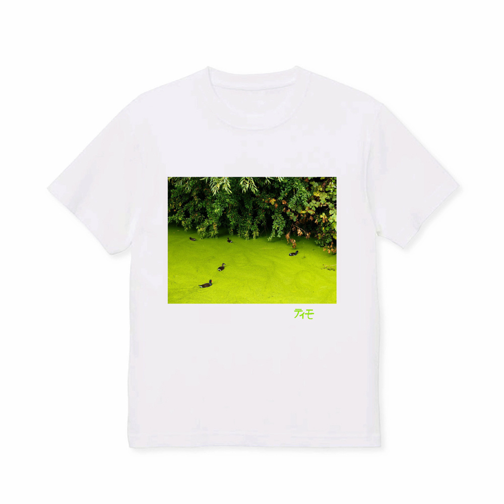 shop