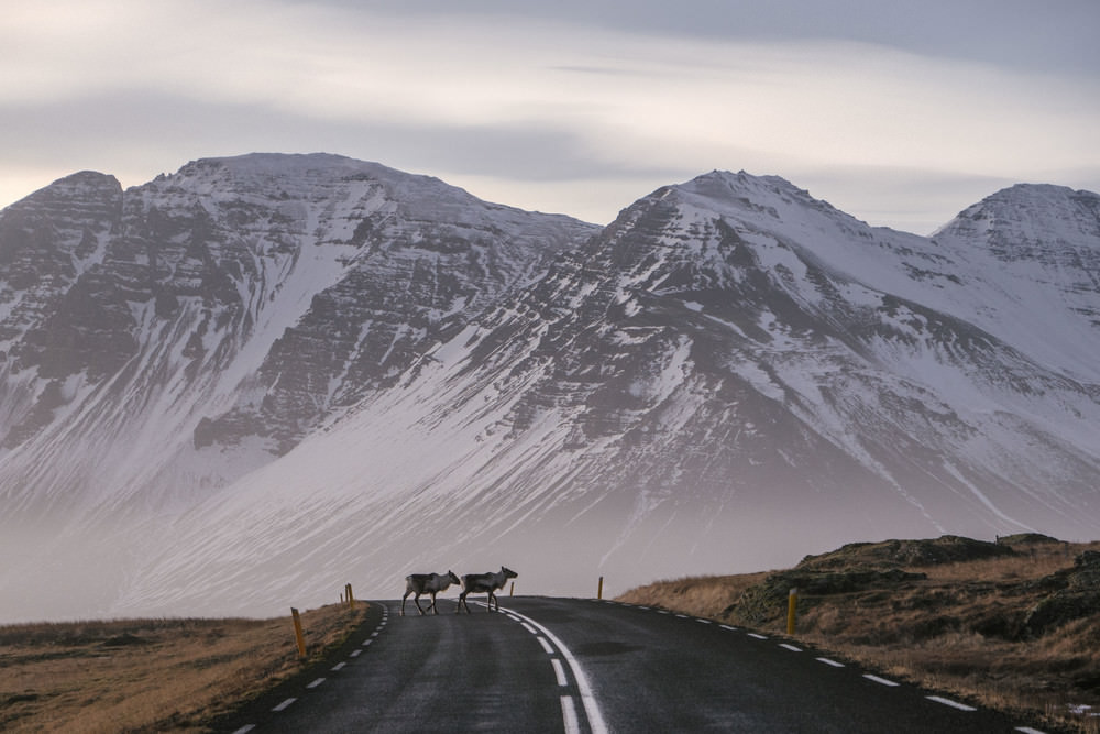 Timothée Lambrecq photography